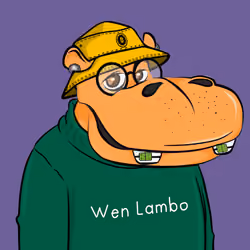 Hype Hippos #6988