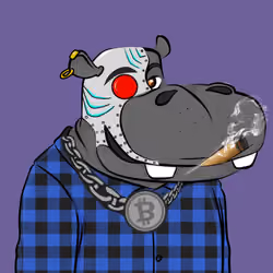Hype Hippos #4082