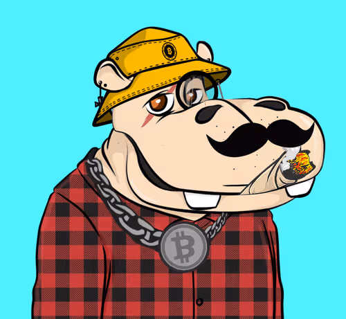 Hype Hippo Io