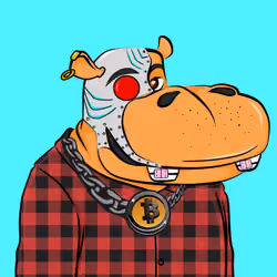 Hype Hippos #3673