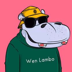 Hype Hippos #4989