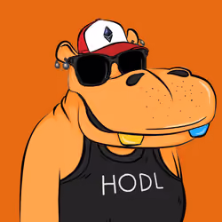 Hype Hippos #9658
