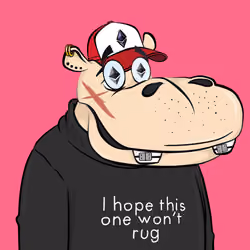 Hype Hippos #9989