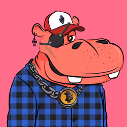 Hype Hippos #8147