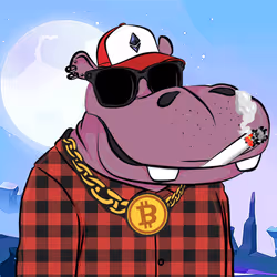 Hype Hippos #7938