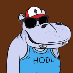 Hype Hippos #5865