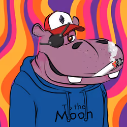 Hype Hippos #4094