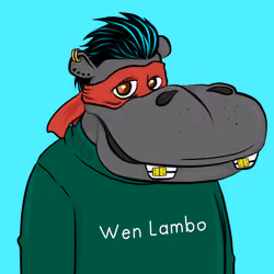 Hype Hippos #1525