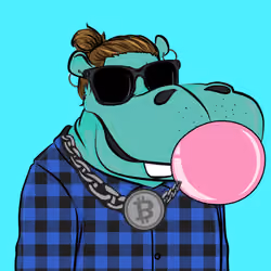Hype Hippos #4251