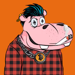 Hype Hippos #6963