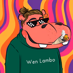 Hype Hippos #7772