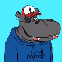 Hype Hippos #7891