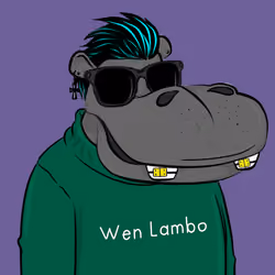 Hype Hippos #657