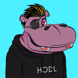 Hype Hippos #5678
