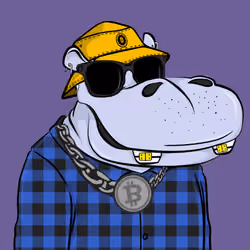 Hype Hippos #9708