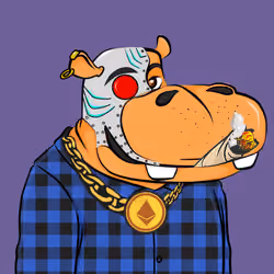 Hype Hippos #95