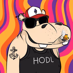 Hype Hippos #1416