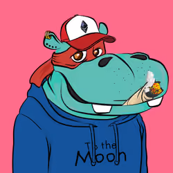 Hype Hippos #9709