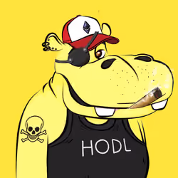 Hype Hippos #5260