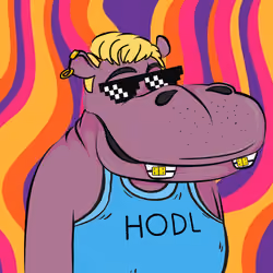 Hype Hippos #12