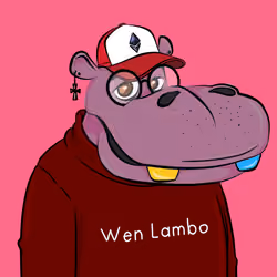 Hype Hippos #2820