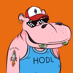 Hype Hippos #1642
