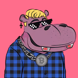 Hype Hippos #9906