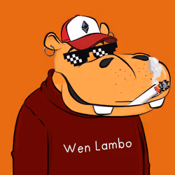 Hype Hippos #659