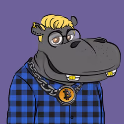Hype Hippos #1042