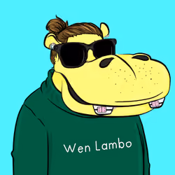 Hype Hippos #1487