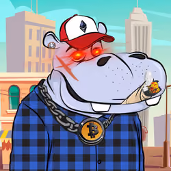 Hype Hippos #9808
