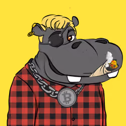 Hype Hippos #1683