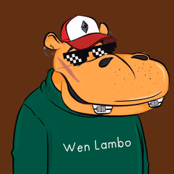 Hype Hippos #6569