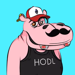 Hype Hippos #17