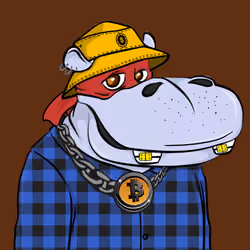 Hype Hippos #9070