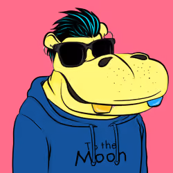 Hype Hippos #5029
