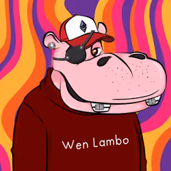 Hype Hippos #5200