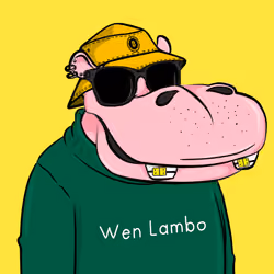 Hype Hippos #7201