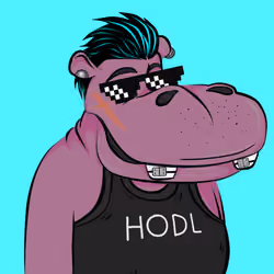 Hype Hippos #7533
