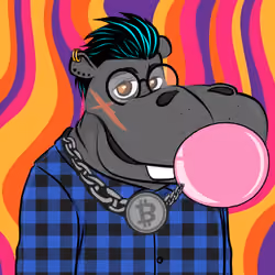 Hype Hippos #8872