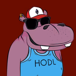 Hype Hippos #8472