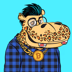 Hype Hippos #2466