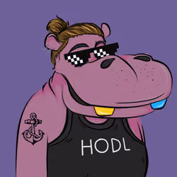Hype Hippos #8849