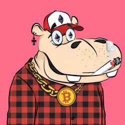 Hype Hippos #4090