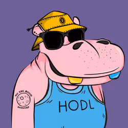 Hype Hippos #5049