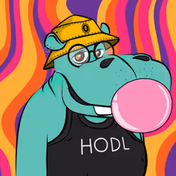 Hype Hippos #6239