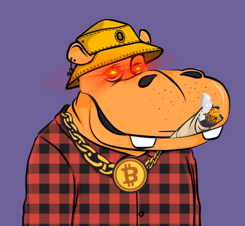 Hype Hippos #5380