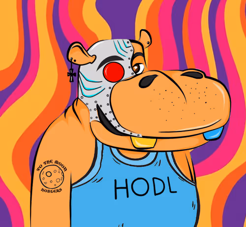 Hype Hippo Io