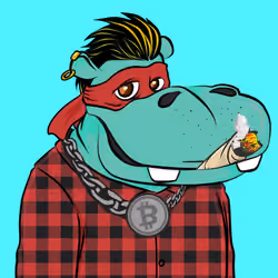Hype Hippos #7426