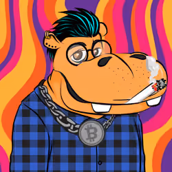 Hype Hippos #8802